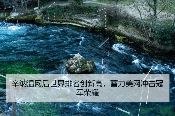 辛纳温网后世界排名创新高，蓄力美网冲击冠军荣耀